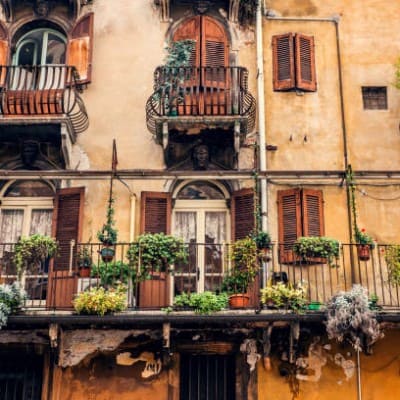 Top 10 roślin na balkon- najbardziej odporne gatunki